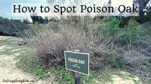 spot poison oak in southern california