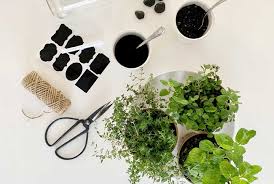 This Diy Indoor Herb Garden Can Be Made