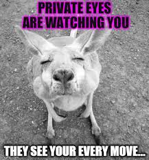Image result for eyes watching you
