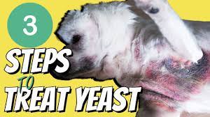 itching caused by yeast