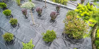 Best Weed Barrier Fabric For Garden