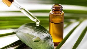 tea tree oil what it is benefits and