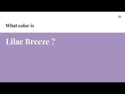 Lilac Breeze Color A590c0 Hex Color