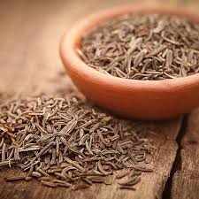 Caraway Seed Tea - Medicinal Herb/Plant & Seasoning - Carum carvi