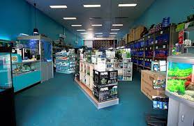 Consider including other pet supply shops. Nearest Pet Store That Sells Fish Off 64 Www Usushimd Com