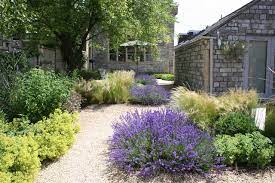 Use Lavender In Your Garden Design