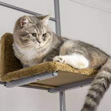 pawhut floor to ceiling adjule cat