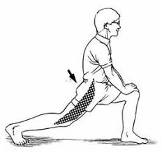 Image result for hip flexor stretch lunge