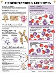 Understanding Leukemia Chart 20x26 Nurses Oncology