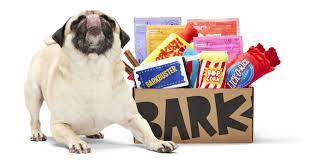 claim your dog gift barkbox