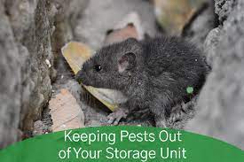 keeping pests out of your storage unit