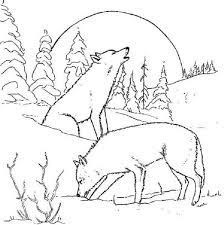 Realistic howling wolf coloring pages. Winter Wolf Coloring Pages Wolf Coloring Pages Wolf Coloring Wolf Coloring Page