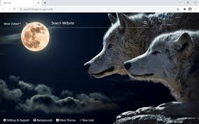 wolf wallpaper hd background wolf