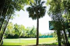 Image result for the eisenhower tree is on what golf course