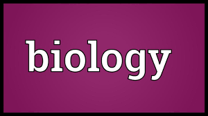 biology meaning you