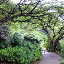 botanical gardens in o ahu hawaii