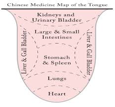 Chinese Tongue Diagnosis Tongue Analysis For Insomnia