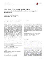 Effects of Soil Ph on Radish Plants Growth