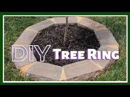 Diy Tree Ring Kreatyve Laydiiee
