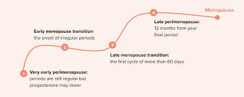 the four ses of perimenopause