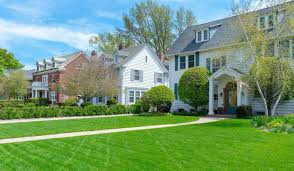 Scotts lawn care program costs $99 for a small yard (up to 5,000 sq. Affordable Local Lawn Care Services Taskeasy