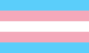 International Transgender Day of Visibility Will Be Held on March 31 |  INSIGHT Into Diversity