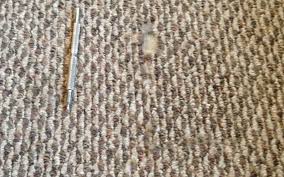 berber carpet damage in indianapolis
