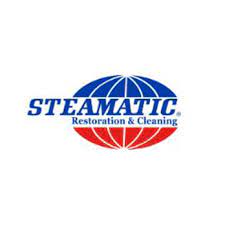 steamatic carpet cleaning 45 w main