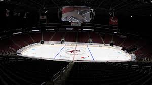 Coyotes To Host 2020 Rookie Faceoff Tournament At Gila River
