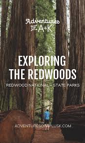 Explore the coastline via sea kayak, check out an american indian. Exploring Redwood National And State Parks The Best Things To Do Redwood National And State Parks California Travel Road Trips Redwood National Park