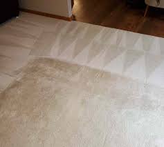 healthy carpet cleaning services