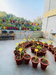 top plant nurseries in new delhi delhi
