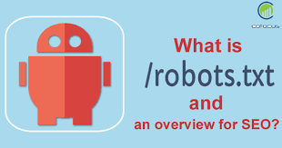 robots txt and an overview for seo