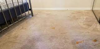minneapolis carpet cleaning for homes