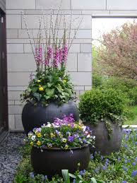Spring Flower Container Annual