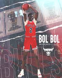 Nba revolution 30 swingman ». Bol Bol Bulls Bull Chicago Bulls Artistic Designs