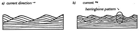 Exercise 1 3 Sedimentary Structures