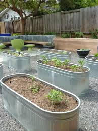 stock tank into a planter for edibles