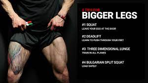leg workout tips for m big leg