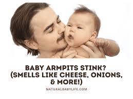baby armpits stink smells like cheese