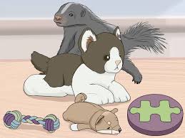When i lived with my dad as a kid we had something like 50 acres and like 7 dogs. 4 Ways To Take Care Of A Pet Skunk Wikihow