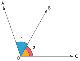 adjacent angles definition javatpoint