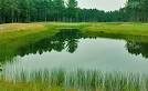 Huron Pines Course Review: On The Tee magazine course review