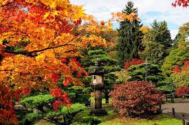 Fall Colors Japanese Garden Plants