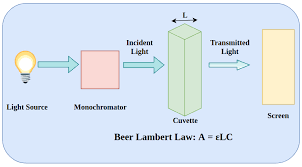 Beer Lambert Law Statement Formula