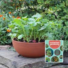 how to grow vegetables in containers