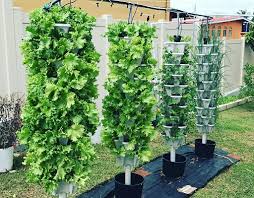 Buy Vertical Garden Vertical