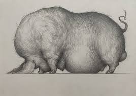 The Pig Drawing By Dmitrii Akov
