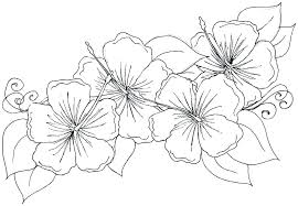 Easy Flower Coloring Pages Outline Printable Pot Free Mebelmag