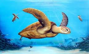 sea turtles over reef original large